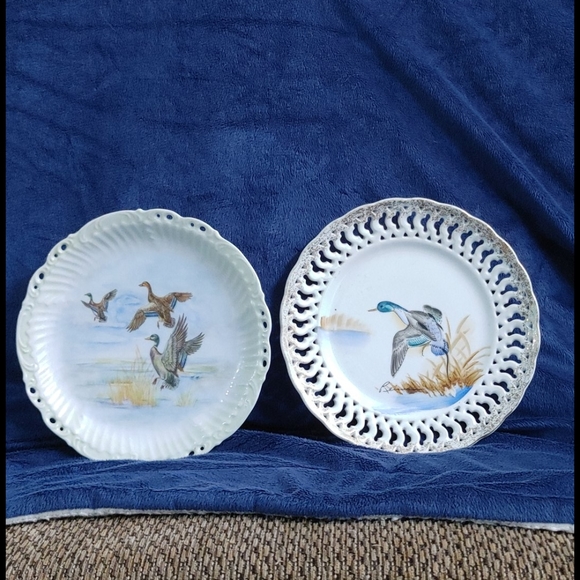 Other - Unique Duck Plates